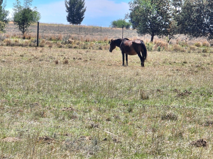 Commercial Property for Sale in Bethlehem Free State